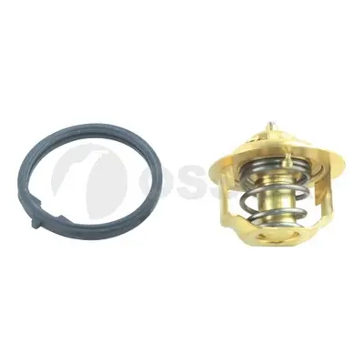 термостат, охладителна течност OSSCA               