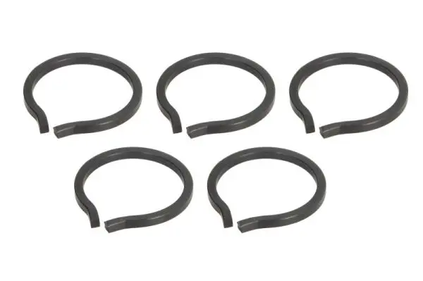 Зегерка, фланец диференциал PASCAL              