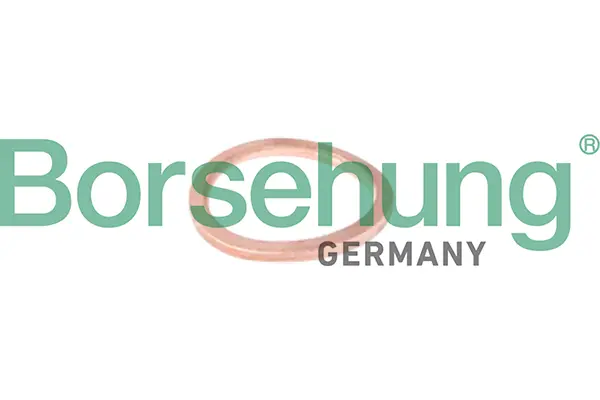 уплътнение, тръбопровод на охладителната течност Borsehung           