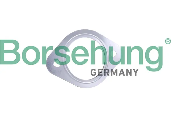 уплътнителен пръстен, изпуск. тръба Borsehung           