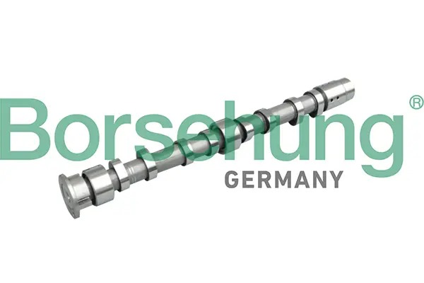 разпределителен вал Borsehung           