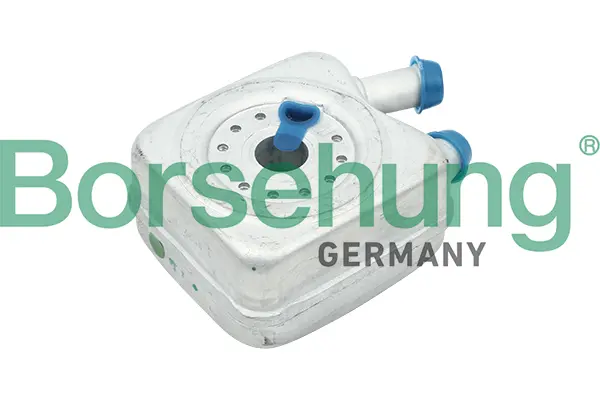 маслен радиатор, двигателно масло Borsehung           