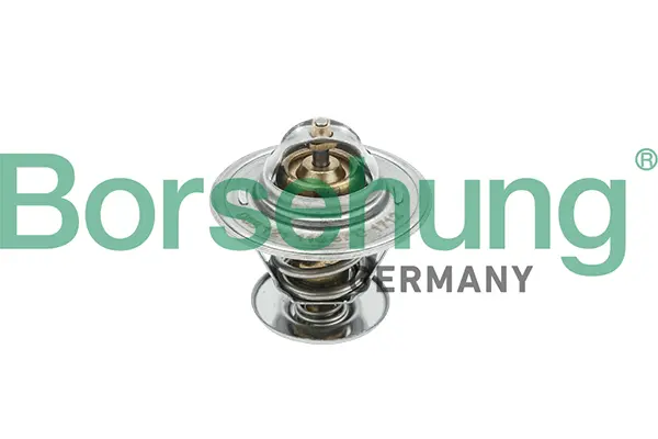 термостат, охладителна течност Borsehung           