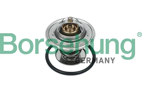 термостат, охладителна течност Borsehung           