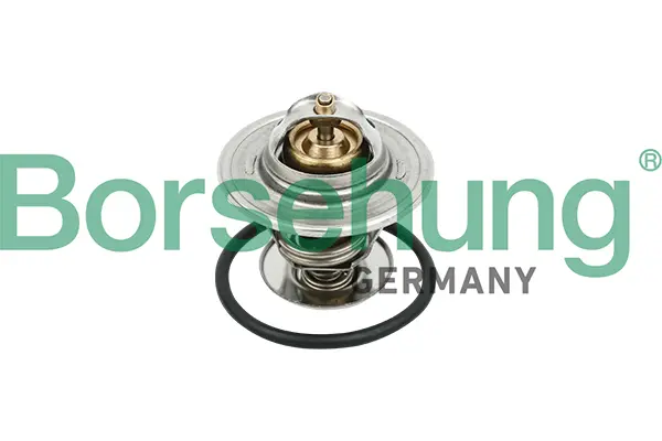 термостат, охладителна течност Borsehung           