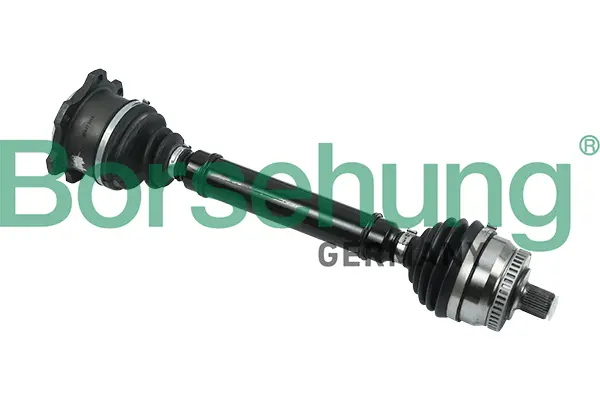 полуоска Borsehung           