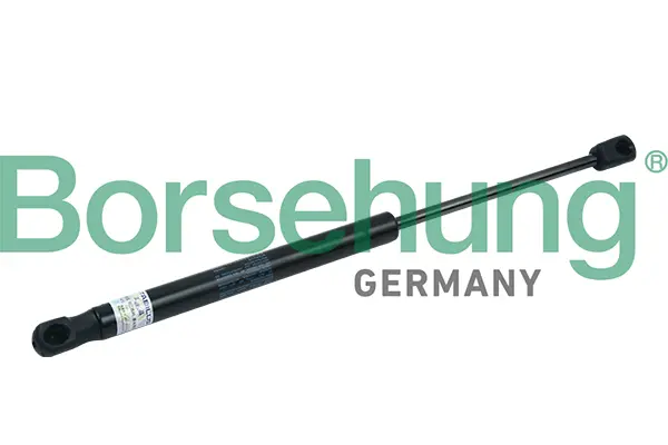 газов амортисьор, капак на двигателя Borsehung           