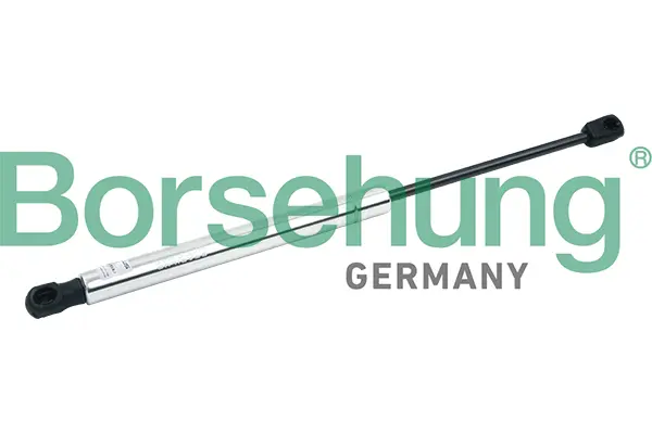 газов амортисьор, багажно-товарно пространство Borsehung           