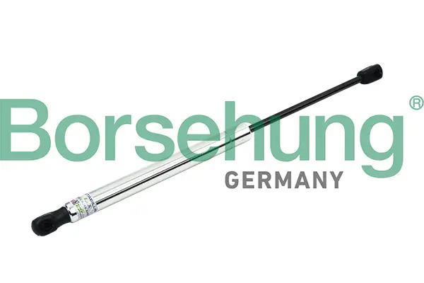 газов амортисьор, багажно-товарно пространство Borsehung           