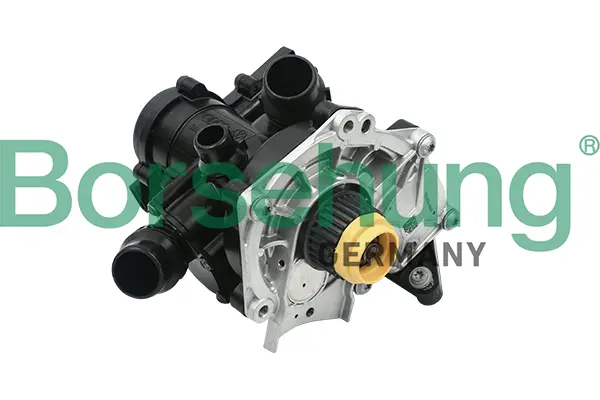 водна помпа, охлаждане на двигателя Borsehung           