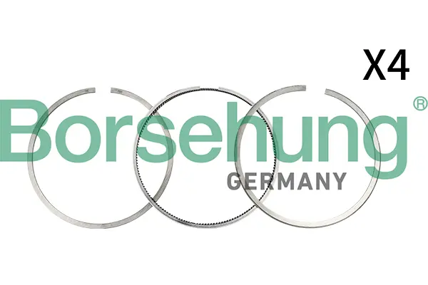 комплект сегменти Borsehung           