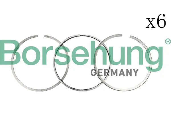 комплект сегменти Borsehung           