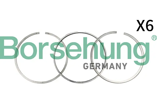 комплект сегменти Borsehung           
