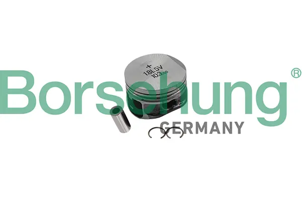 комплект сегменти Borsehung           