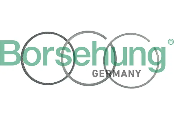 комплект сегменти Borsehung           