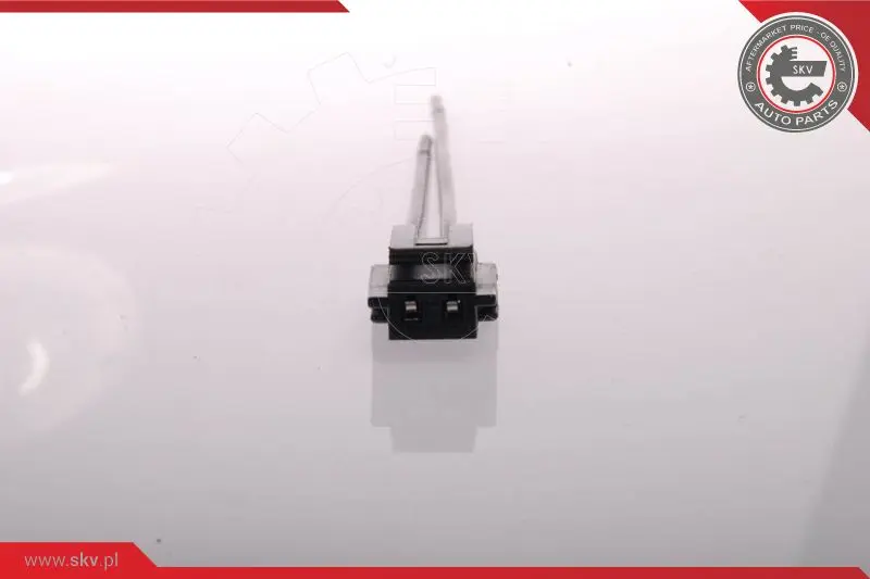 горивна помпа ESEN SKV            