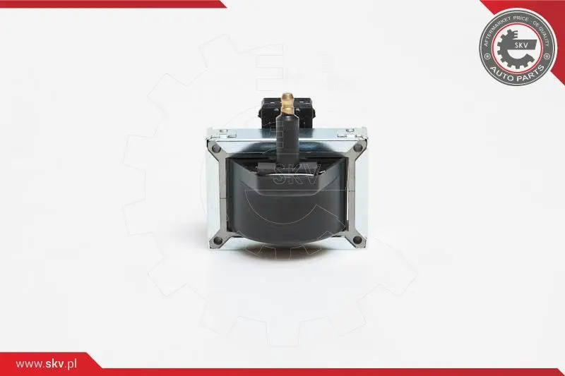 запалителна бобина ESEN SKV            