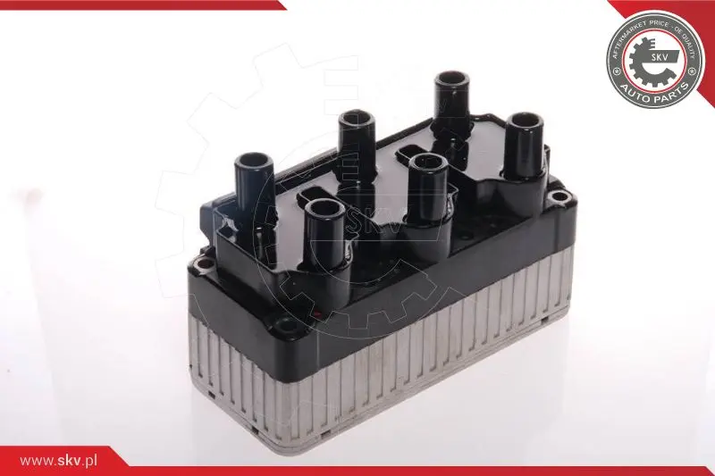 запалителна бобина ESEN SKV            