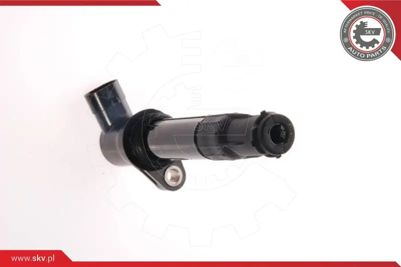 запалителна бобина ESEN SKV            