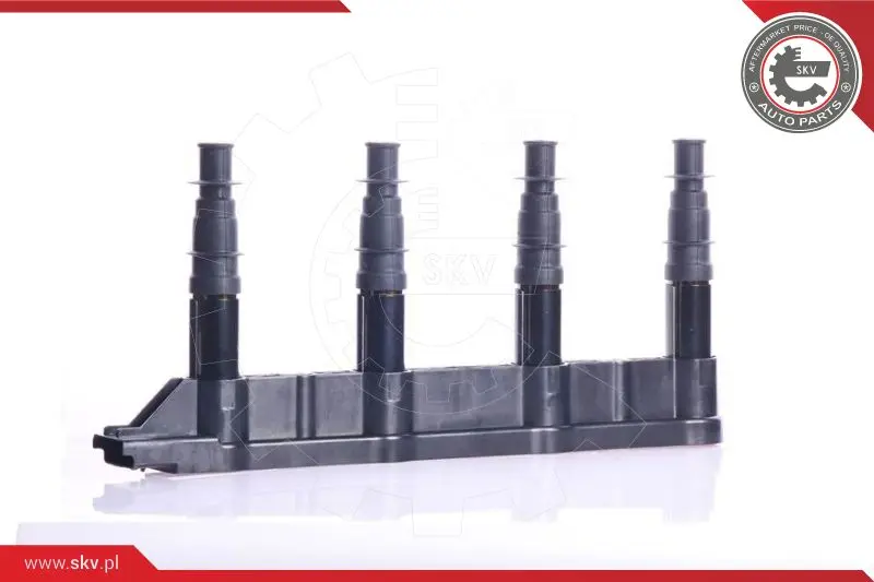Запалителна бобина ESEN SKV