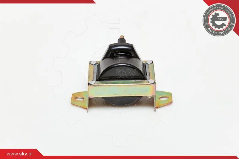 запалителна бобина ESEN SKV            