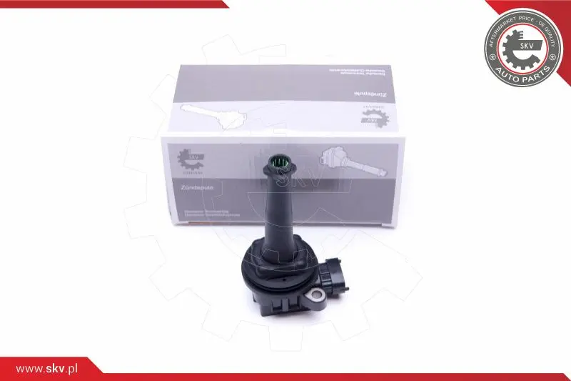 запалителна бобина ESEN SKV            