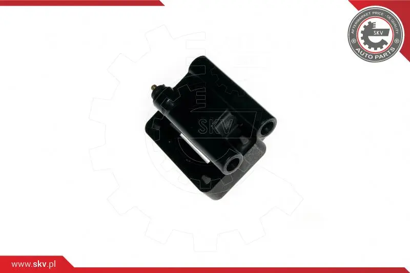 запалителна бобина ESEN SKV            