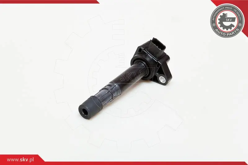 запалителна бобина ESEN SKV            