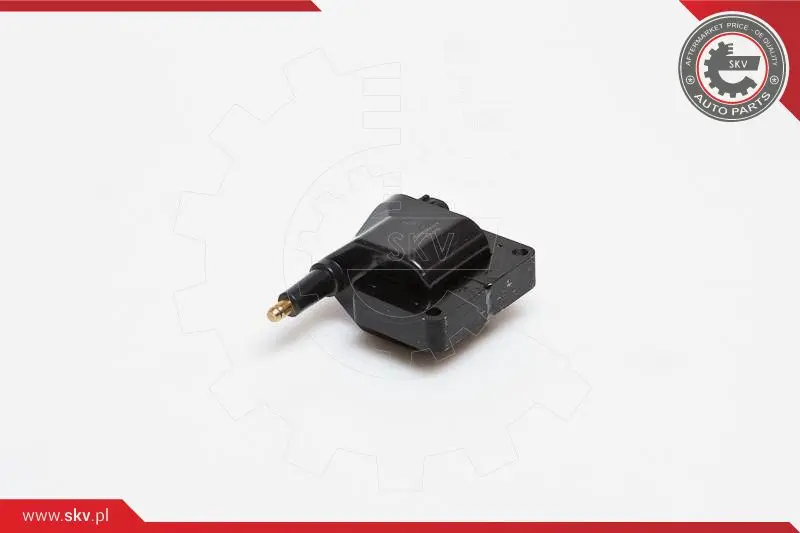 запалителна бобина ESEN SKV            