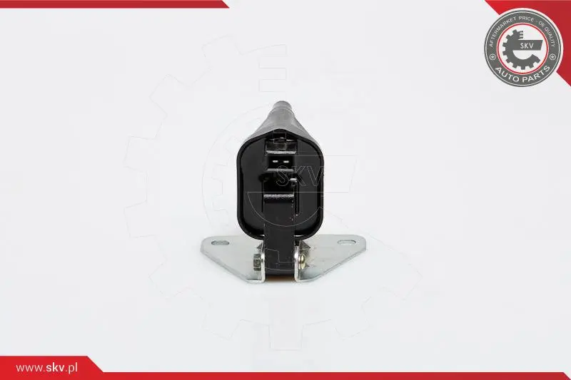 запалителна бобина ESEN SKV            