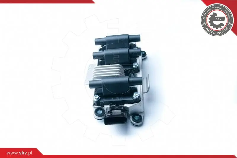 запалителна бобина ESEN SKV            