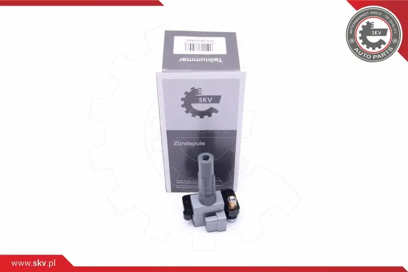запалителна бобина ESEN SKV            