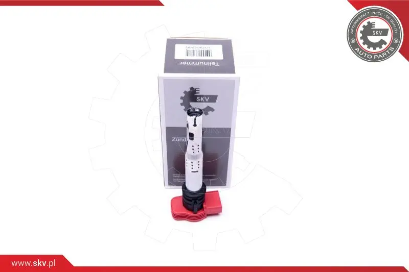 запалителна бобина ESEN SKV            