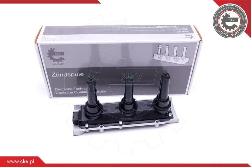запалителна бобина ESEN SKV            