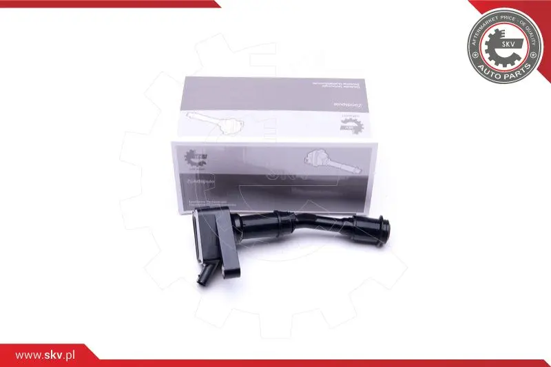 запалителна бобина ESEN SKV            