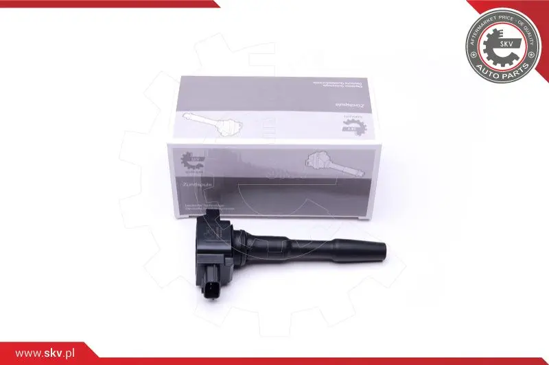 запалителна бобина ESEN SKV            