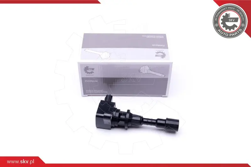 запалителна бобина ESEN SKV            