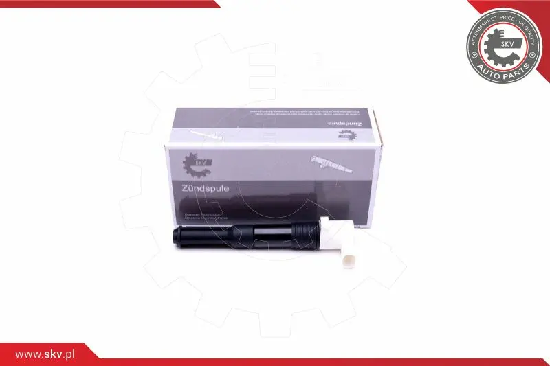 запалителна бобина ESEN SKV            