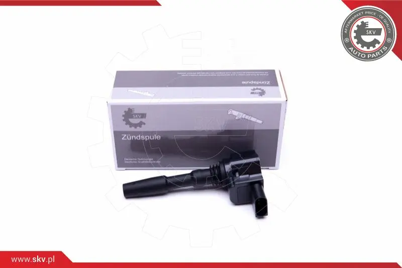 запалителна бобина ESEN SKV            