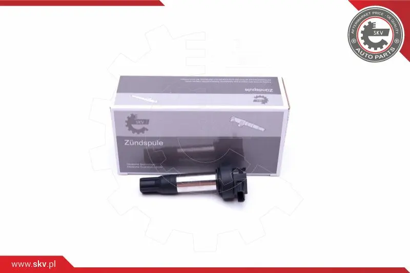 запалителна бобина ESEN SKV            