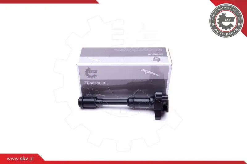 запалителна бобина ESEN SKV            