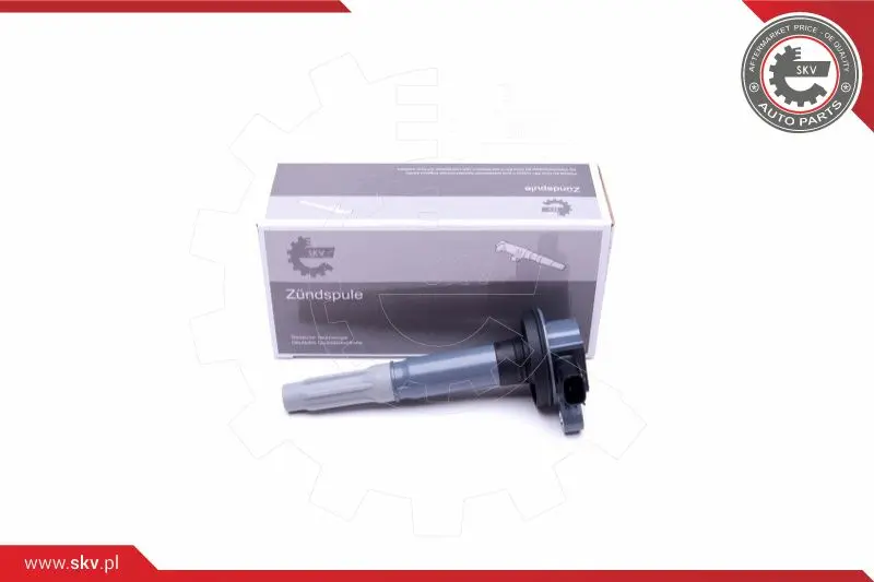 запалителна бобина ESEN SKV            