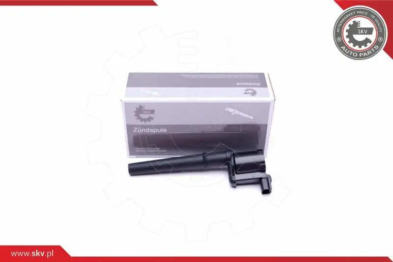 запалителна бобина ESEN SKV            