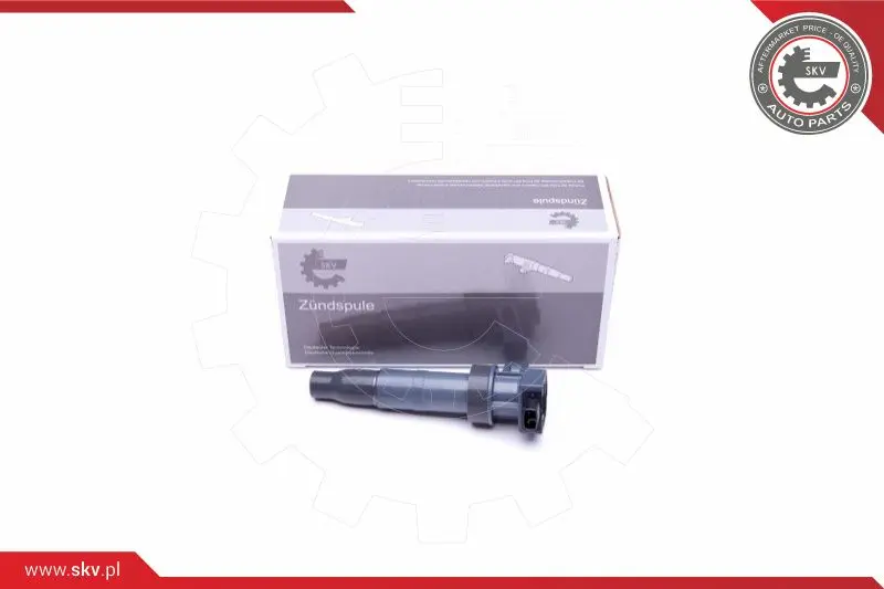 запалителна бобина ESEN SKV            
