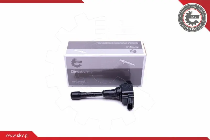 запалителна бобина ESEN SKV            
