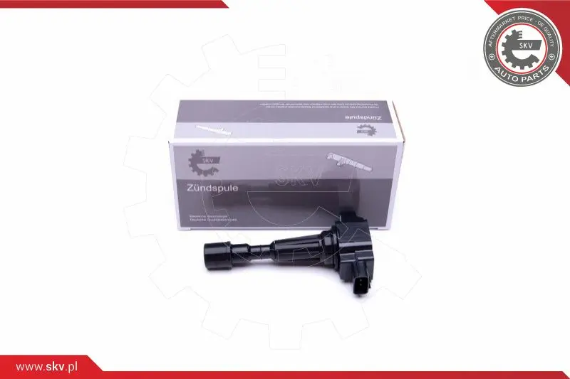 запалителна бобина ESEN SKV            