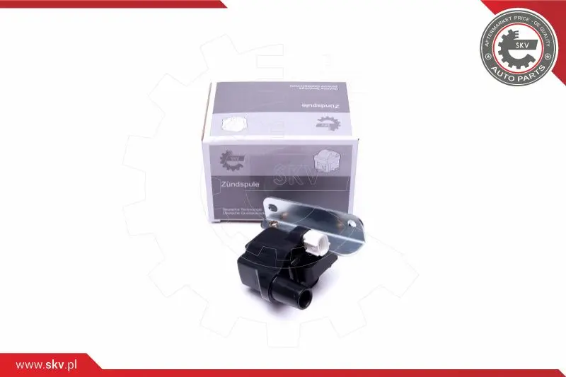 запалителна бобина ESEN SKV            