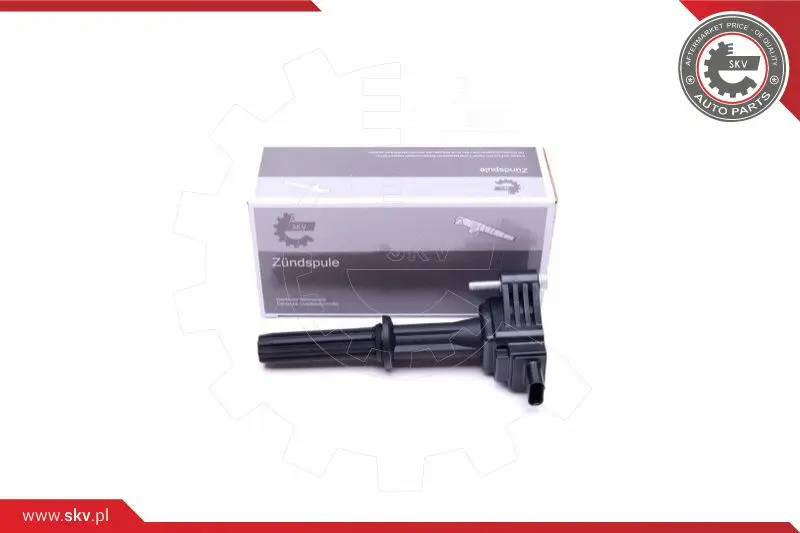 запалителна бобина ESEN SKV            