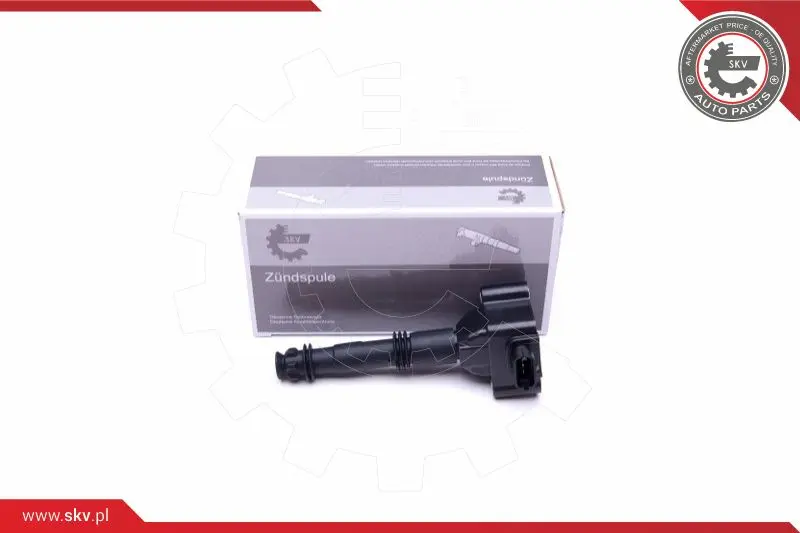 запалителна бобина ESEN SKV            