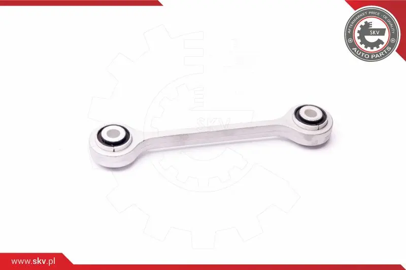 биалета ESEN SKV            